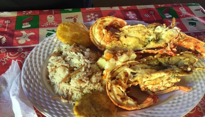 guajira-luna-de-miel-6