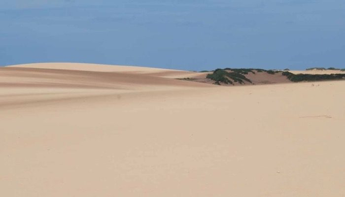 guajira-matrimonio-3