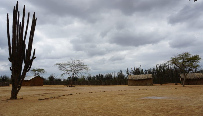 guajira-medicina-tradicional-7